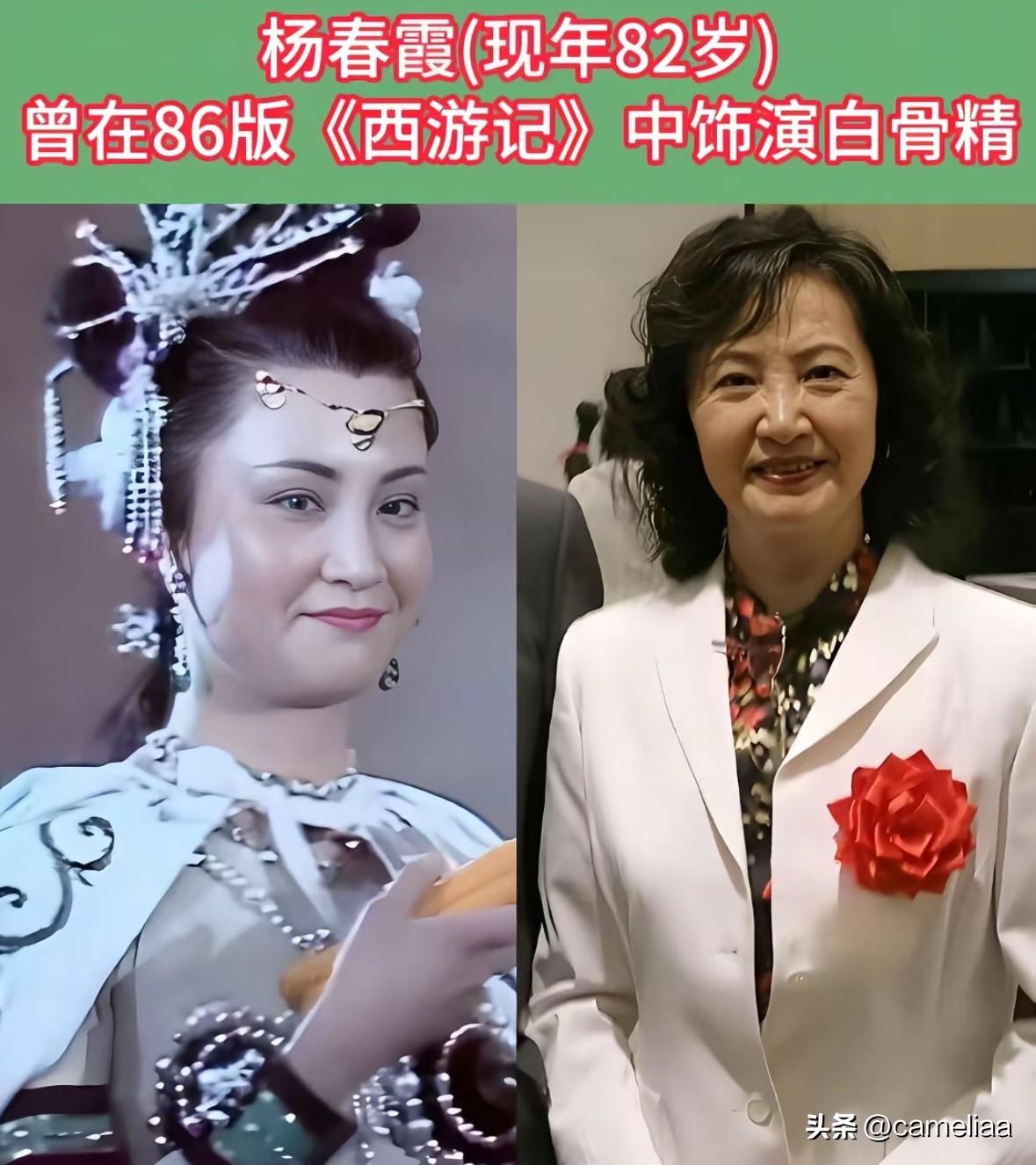 只演过一部剧的8位明星

演艺圈从不缺高产拍戏的演员，
可有这样八位艺人，
一辈