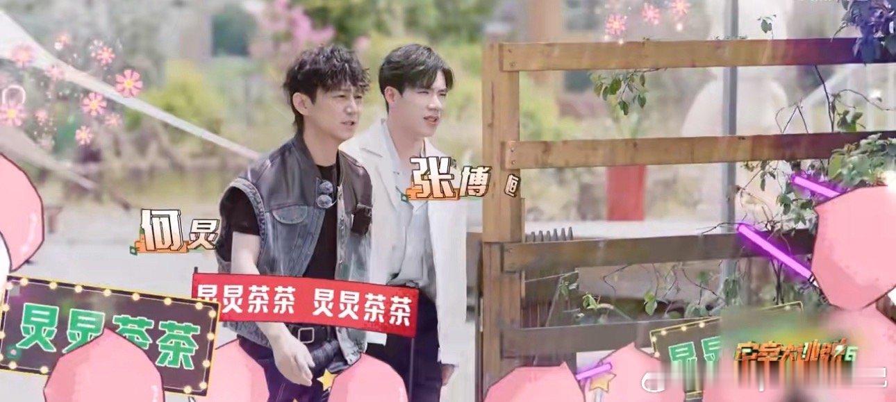 #张博恒加盟密室大逃脱6#张傅恒加盟《密室大逃脱》第六季，期待茶茶不一样的一面[