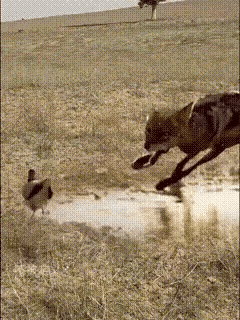 时间就是生命，一点不假～