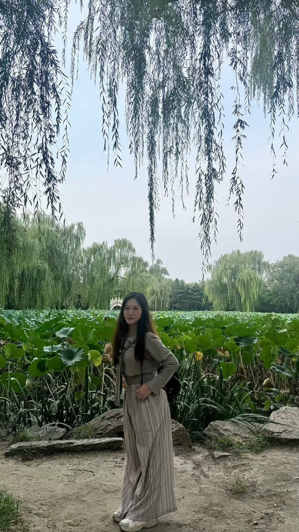 旅游和爷爷奶奶的北京之旅倩的旅游小记北京 圆明园的一角 北京·万花阵(黄花阵)