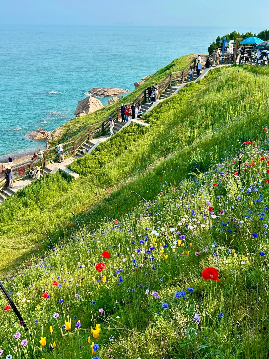 青岛！现实版哈尔的移动城堡🏰🌳🌷🫧