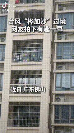 “太聪明了！”广东佛山，由于台风“桦加沙”的到来，按照以往的思维，多数人都会在阳