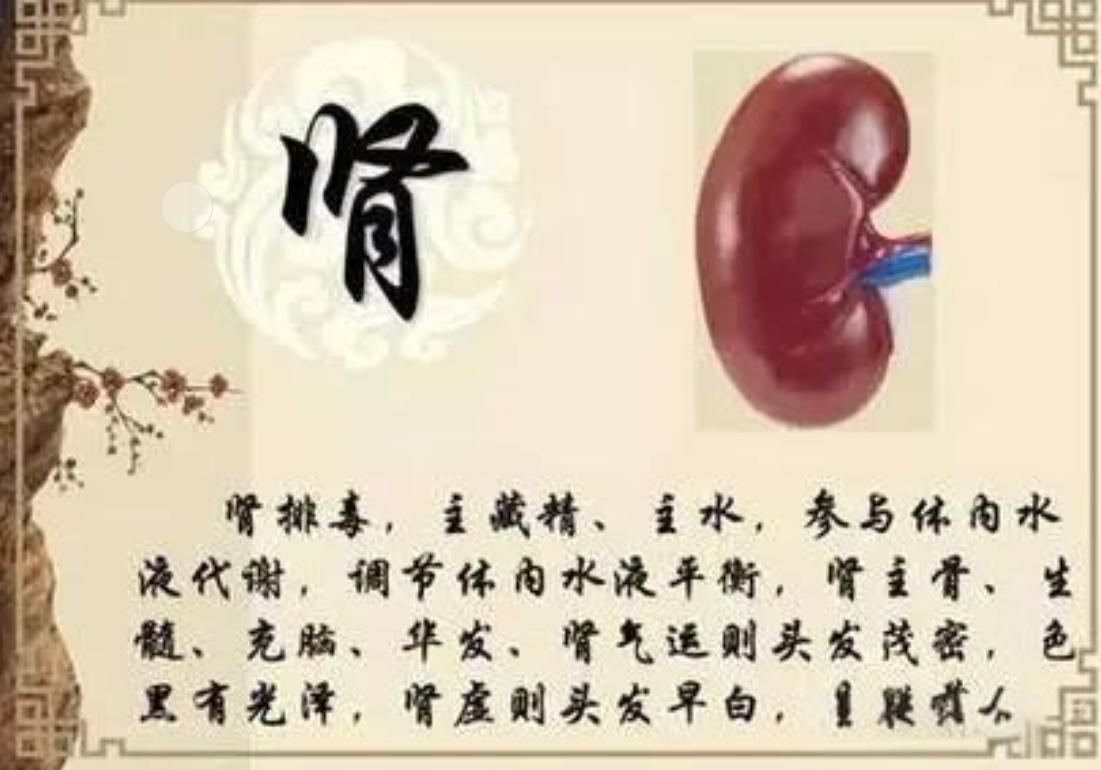 50岁还能翻云覆雨，只因一清两补，强肾不走弯路

很多人已到中年，就会面临一个尴