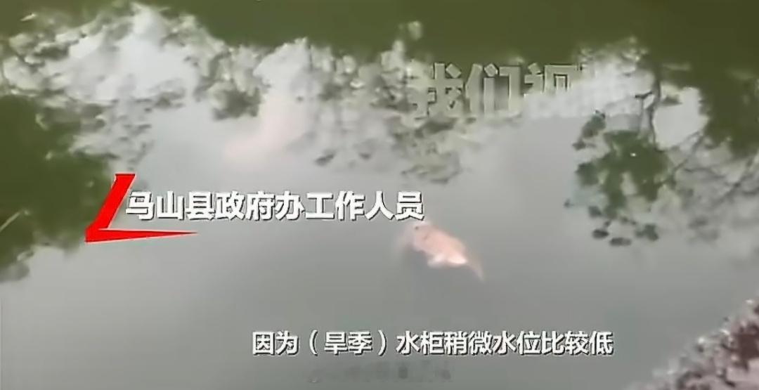 多部门表示溺亡猴子数量正在统计十几只猴子一起死，不只是运气不好。马山是石漠化地区