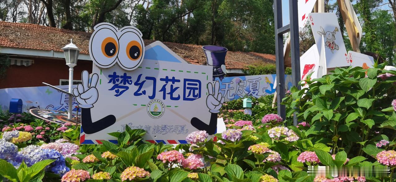 我新发布的内容被官方推荐啦！👍你也快来发布一条吧！带