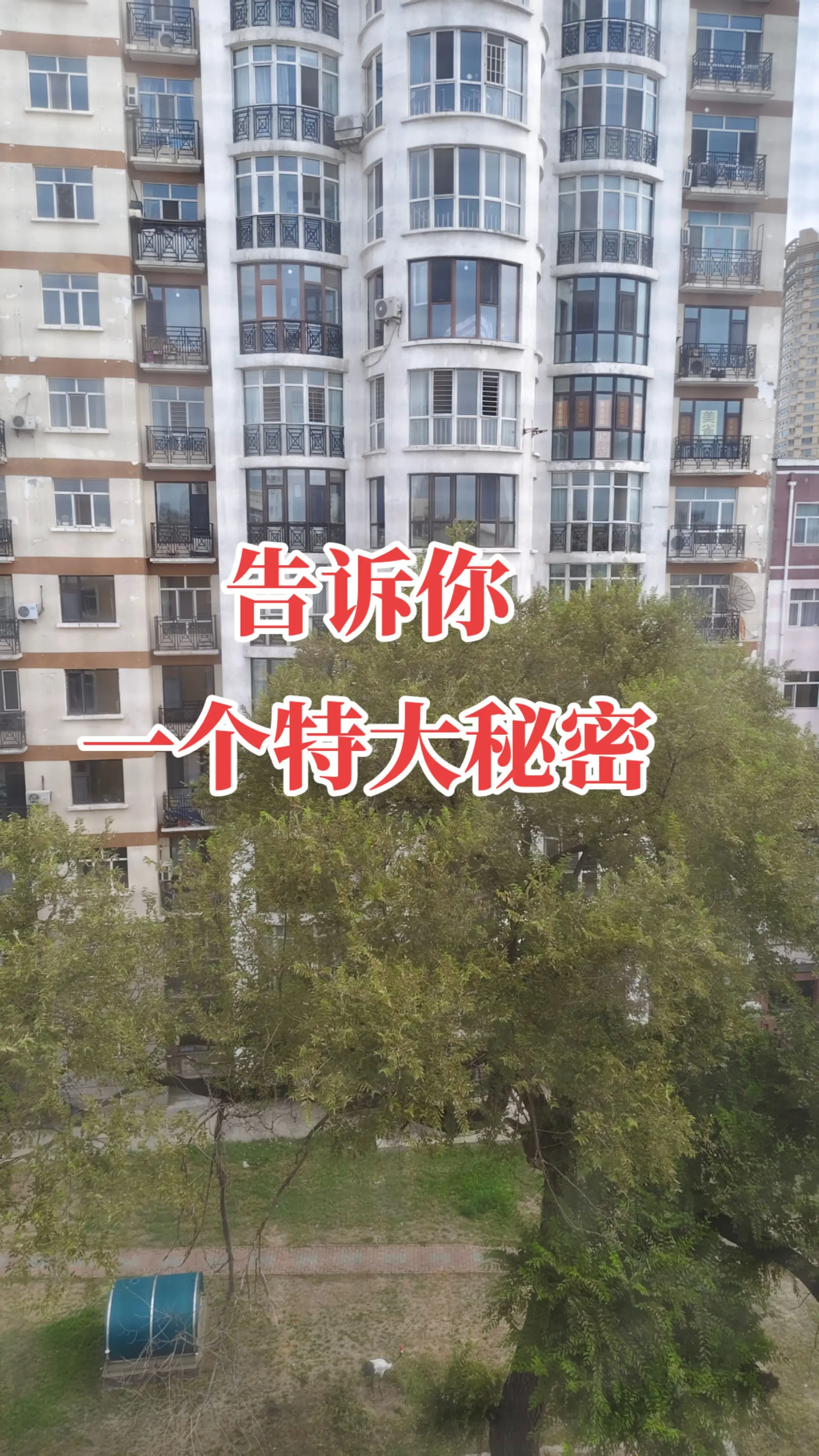 抓住三伏天养阳黄金期