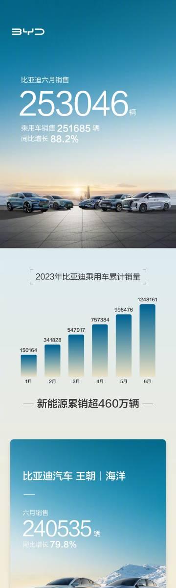 各家的6月交付量：

-比亚迪，253,046辆（王朝/海洋，240,535辆；
