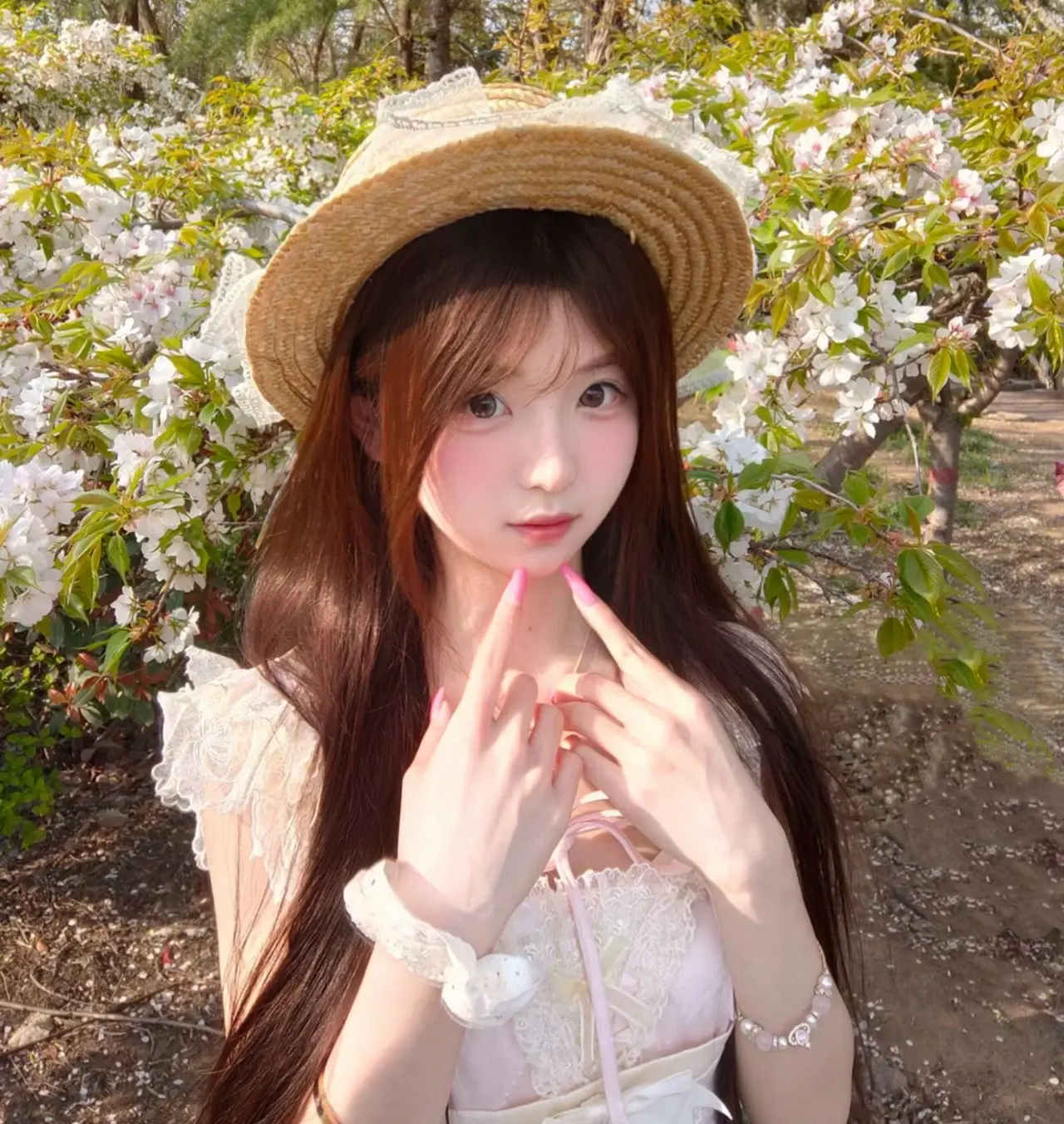 樱花季限定 春日限定记忆 春日氛围感
