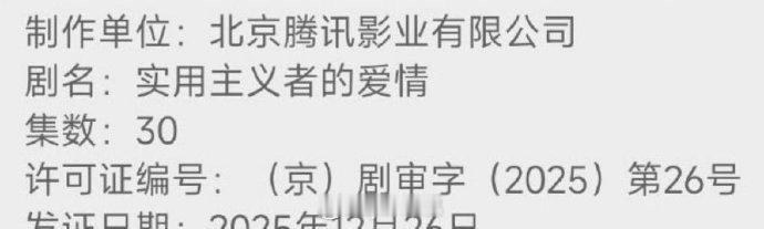 陈飞宇孙千《实用主义者的爱情》下证，预排明年2月 