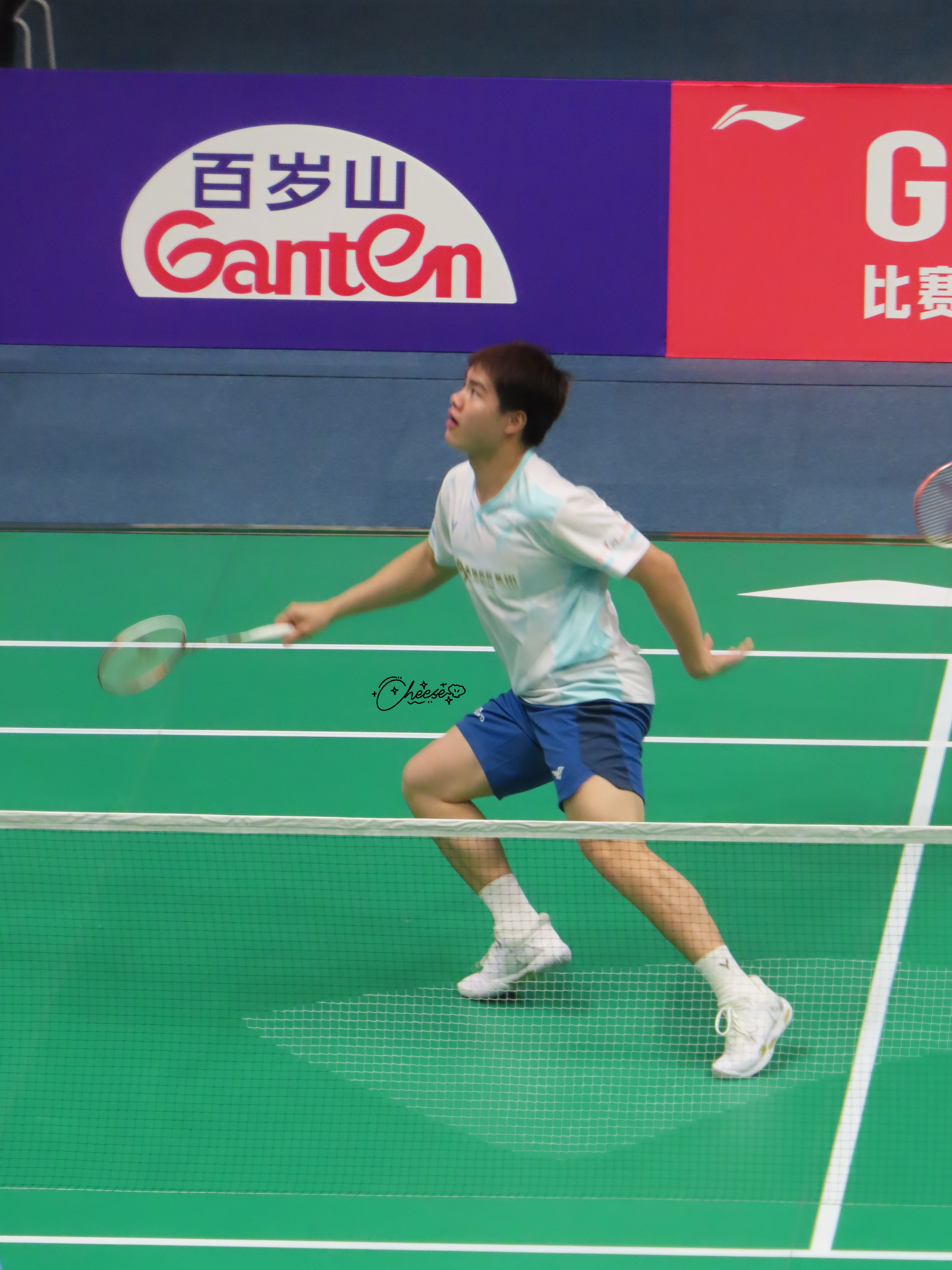 毛绒绒圆滚滚小狗狗羽超联赛