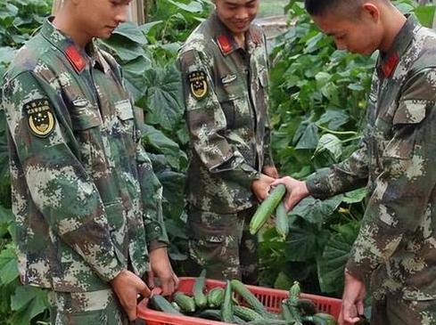 他1981年入伍，偷摘黄瓜被女兵发现报告连长，后来他被作退伍处理
张建国那年才1