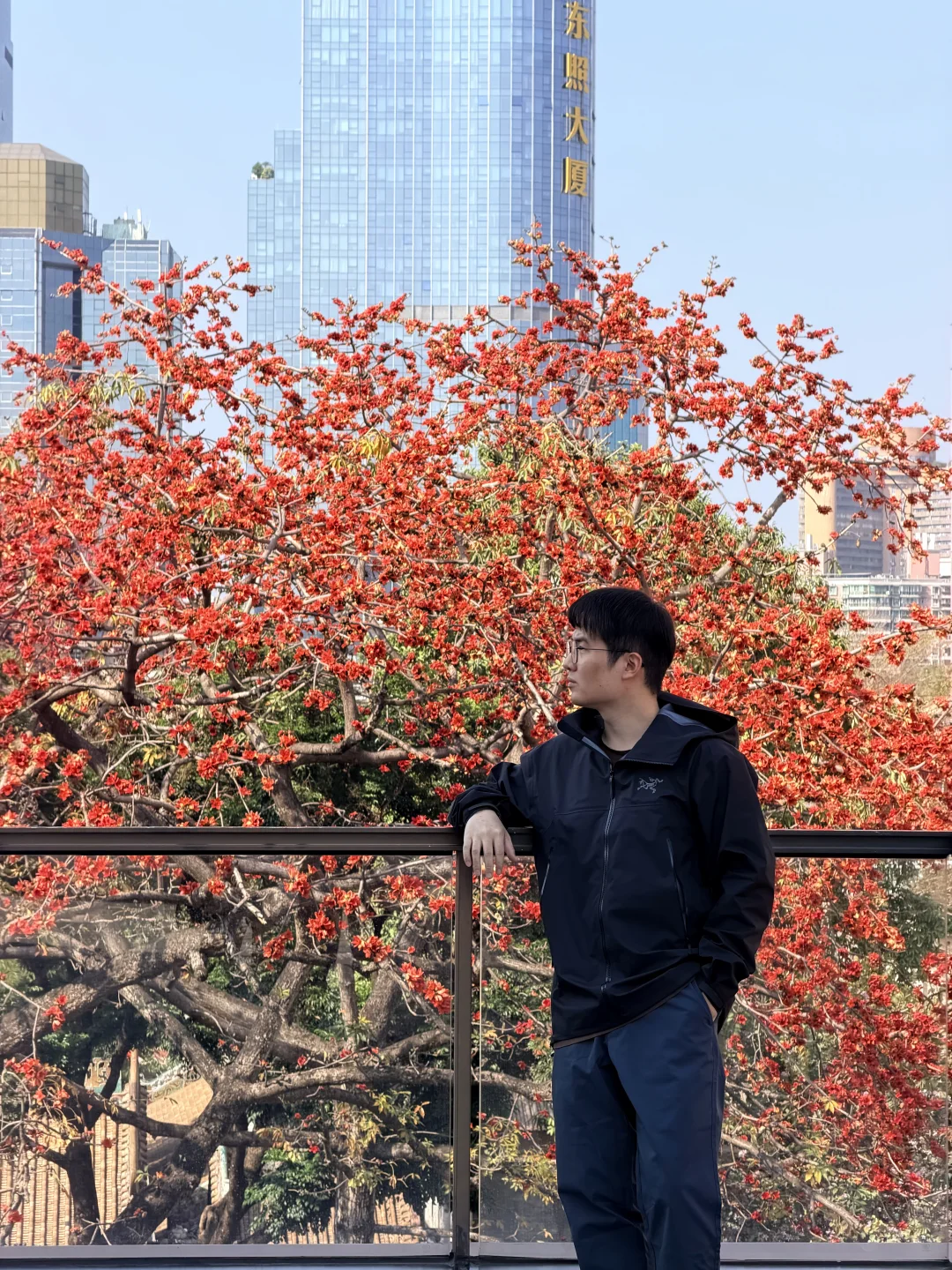 广州的木棉花又被《给阿嫲的情书》带火啦~❗