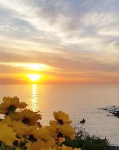 方圆天地，为头条联友对联！
观秋月天清气爽，
赏春光日丽风和。