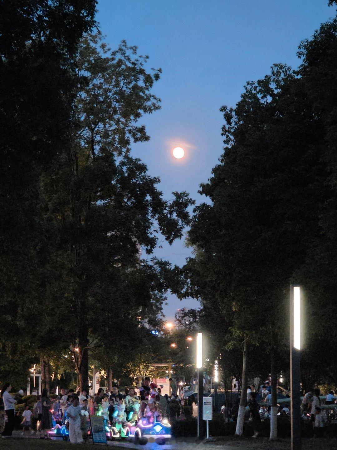 随手拍成都月亮我被成都的夜晚迷住了夜成都手机摄影爱好者城里的月光。 成都·新金牛
