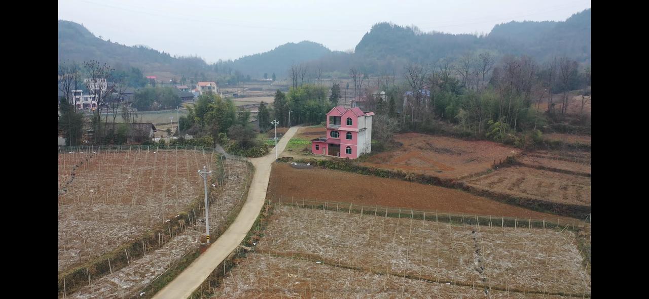 在我们村子有这样一栋房子，花费20多万建造的小洋楼，15年了主人家一直没有回来住
