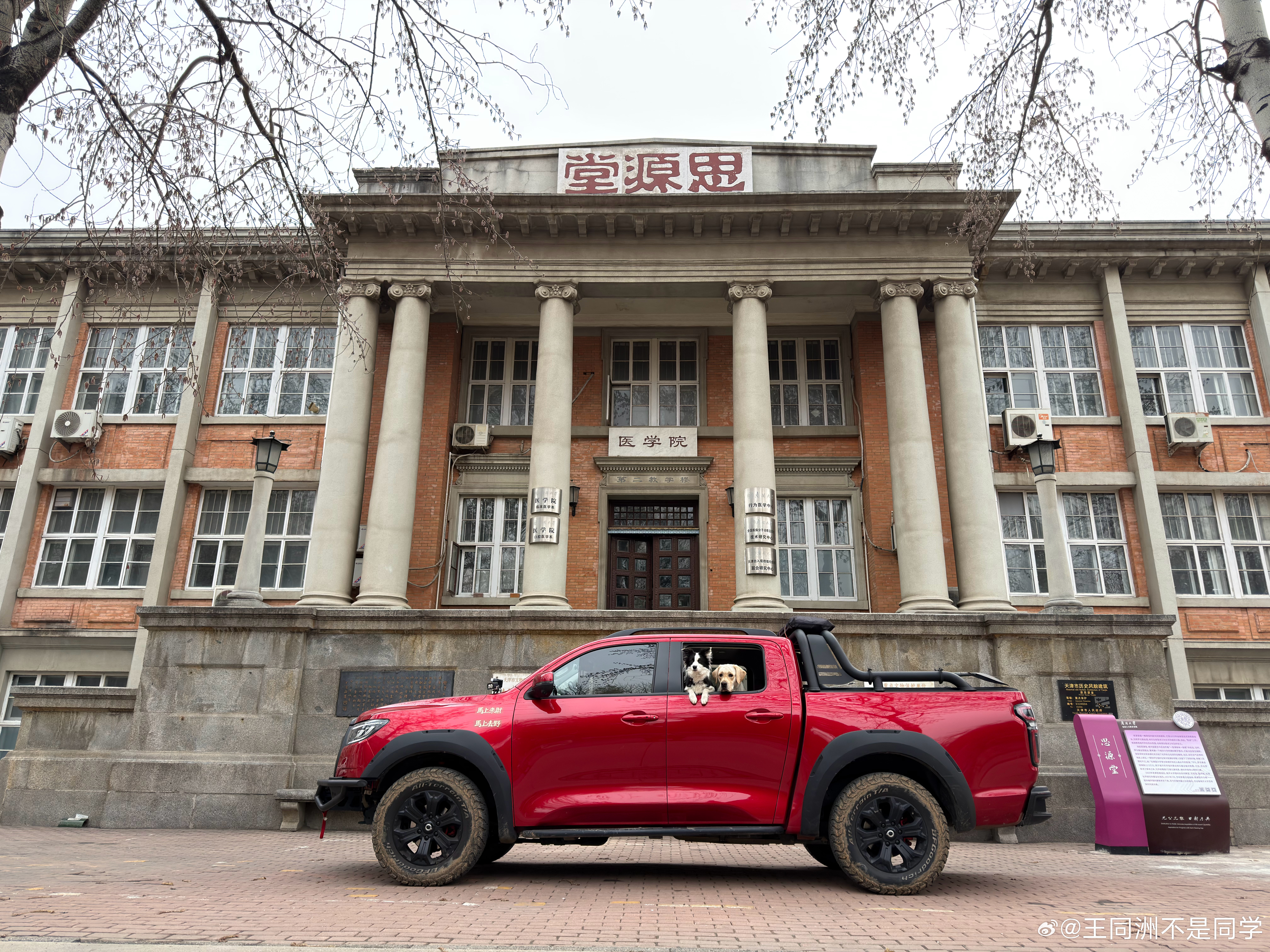 说出来你可能不信南开大学八里台在我毕业后开麦当劳了！XX的学校有规定小狗不能下车