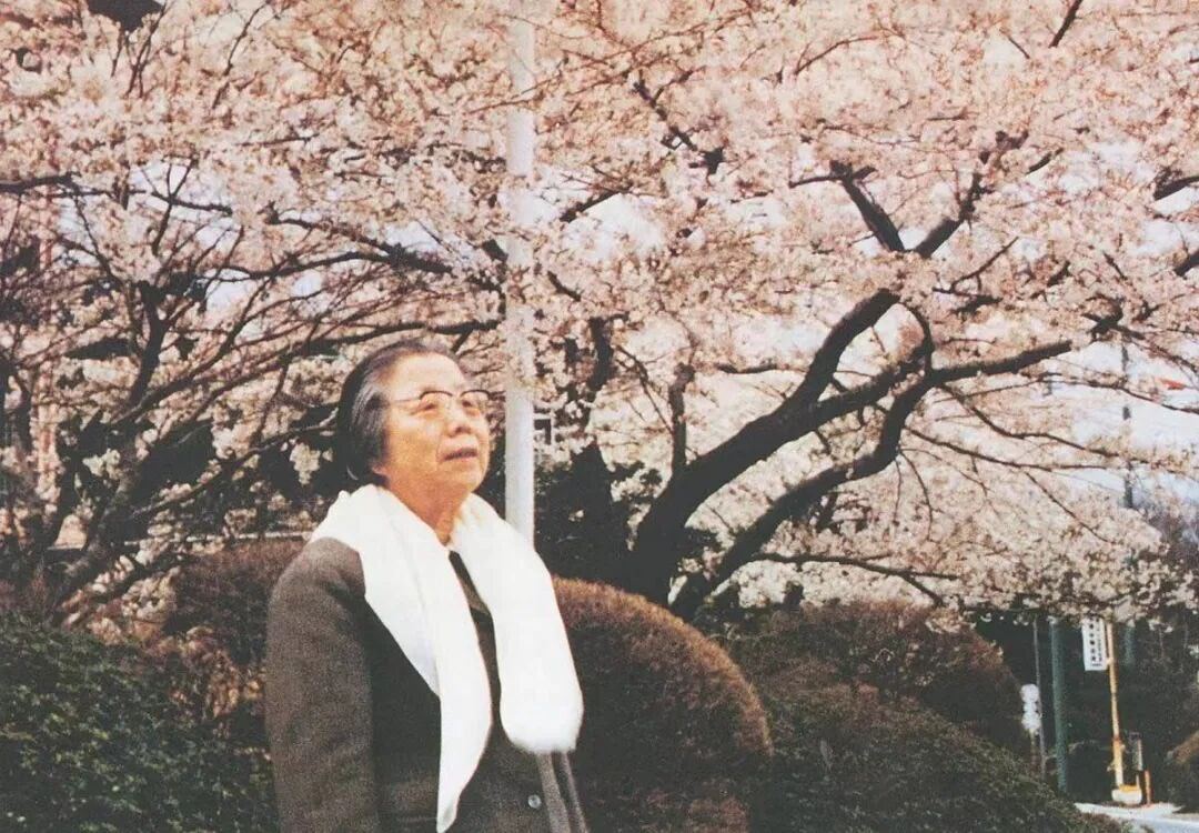 【从西花厅海棠花忆起：邓颖超对周恩来的深情追思】春天到了，百花竞放，西花厅的海棠