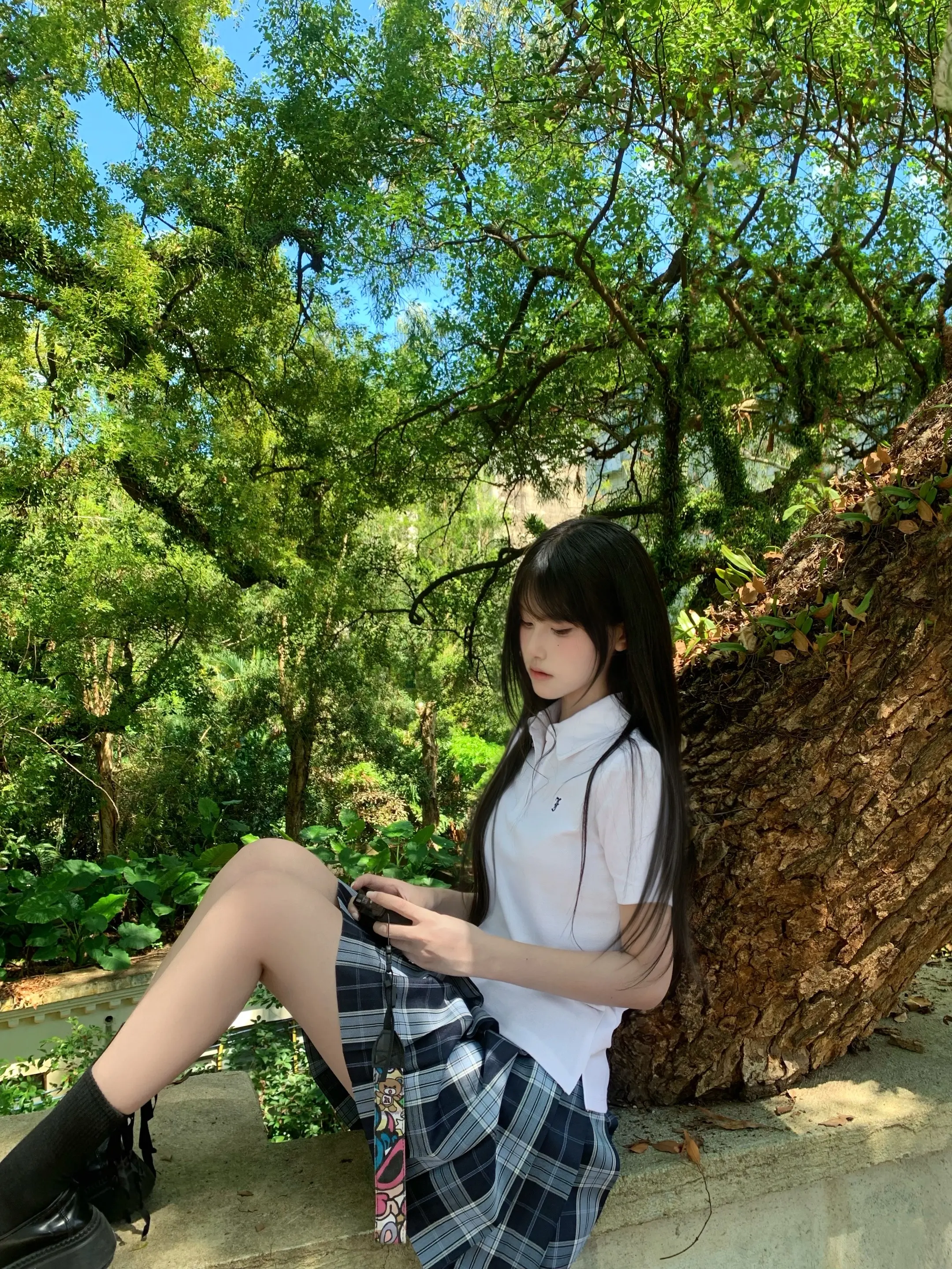 毛茸茸的寄生树jk