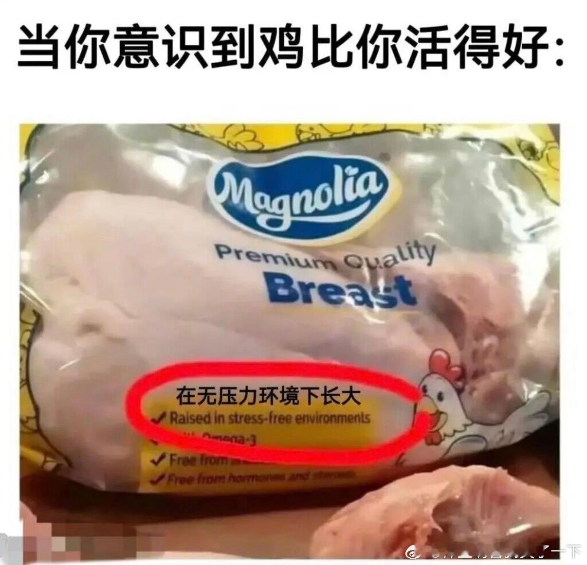 6234鸡都活得比我好 
