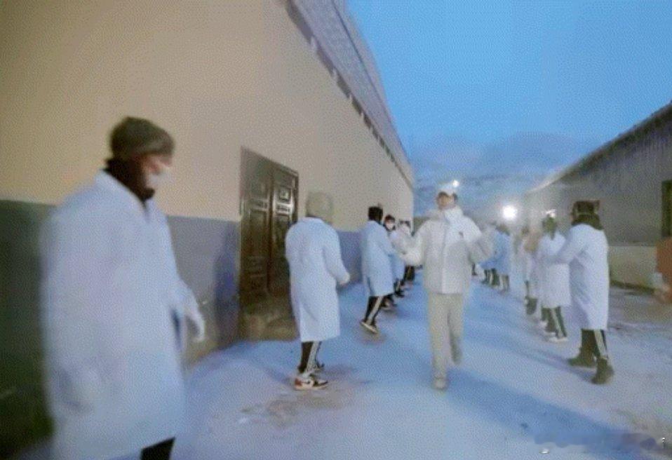 种地吧雪夜百人接力搬芫根哈哈哈哈 谁能够懂《种地吧》雪夜百人接力搬芫根的含金量，