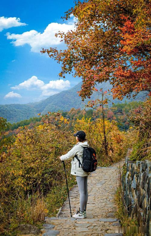 我的创意下联可以是：
1、秋风同伴游山径[碰拳]春雨同游赏花溪‌。
2、秋风同伴