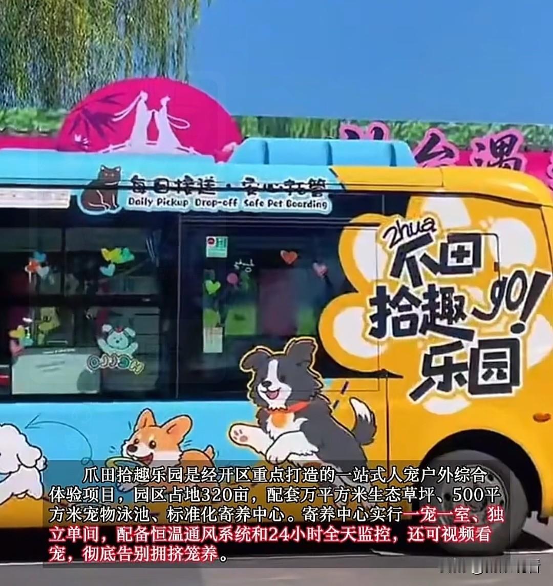 扬州铲屎官们的福音来啦😂！首条萌宠定制接驳巴士正式上线，简直太懂养宠家庭的痛点