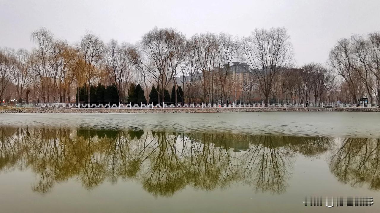 #手机随拍，分享美景#初春，冰雪消融