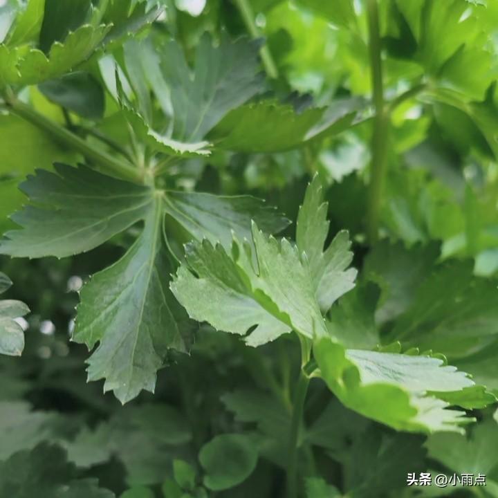 情商，绝不是一味讨好别人，而是在守住自己边界的同时，让对方感到舒服。这听起来有点