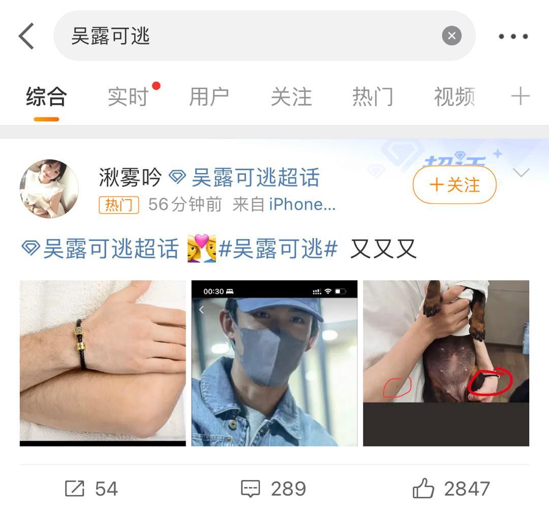 说实话！都圈出来了我也没看懂#吴露可逃# ​​​