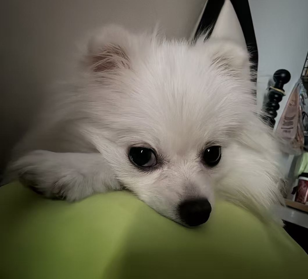 贼眉鼠眼的 ​​​