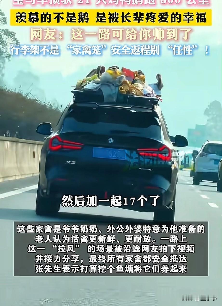 “太拉风了！”宝马车顶驮21只鸡鸭鹅跑高速，网友羡慕：最值钱的不是车，是长辈的爱