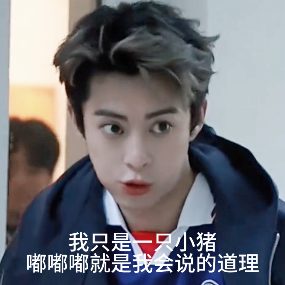 这只看起来没什么智商的猪猪就是你们口中的恶霸？ 