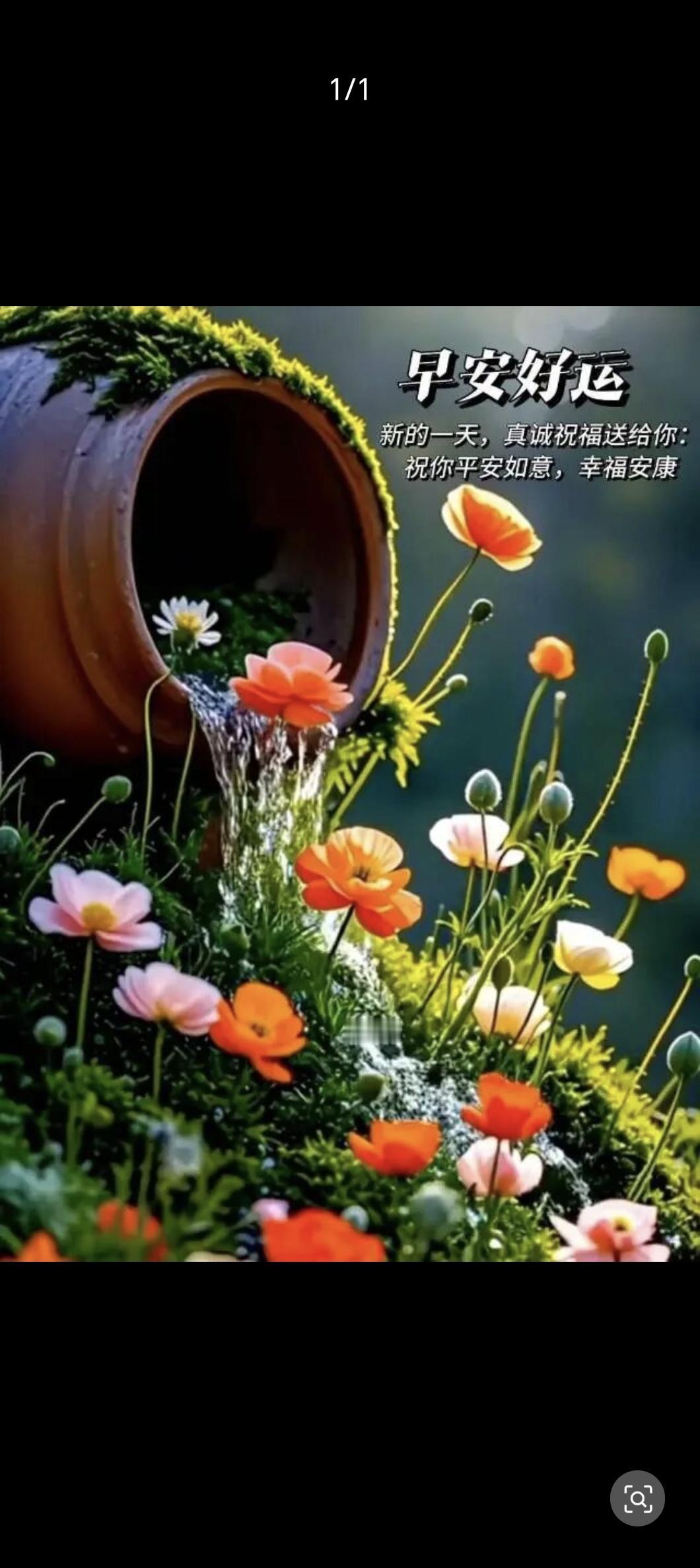 清平乐·惜己安康
人生如幻，莫把忧思绊。
今日华年难复返，且纵欢颜寻善。

谁家