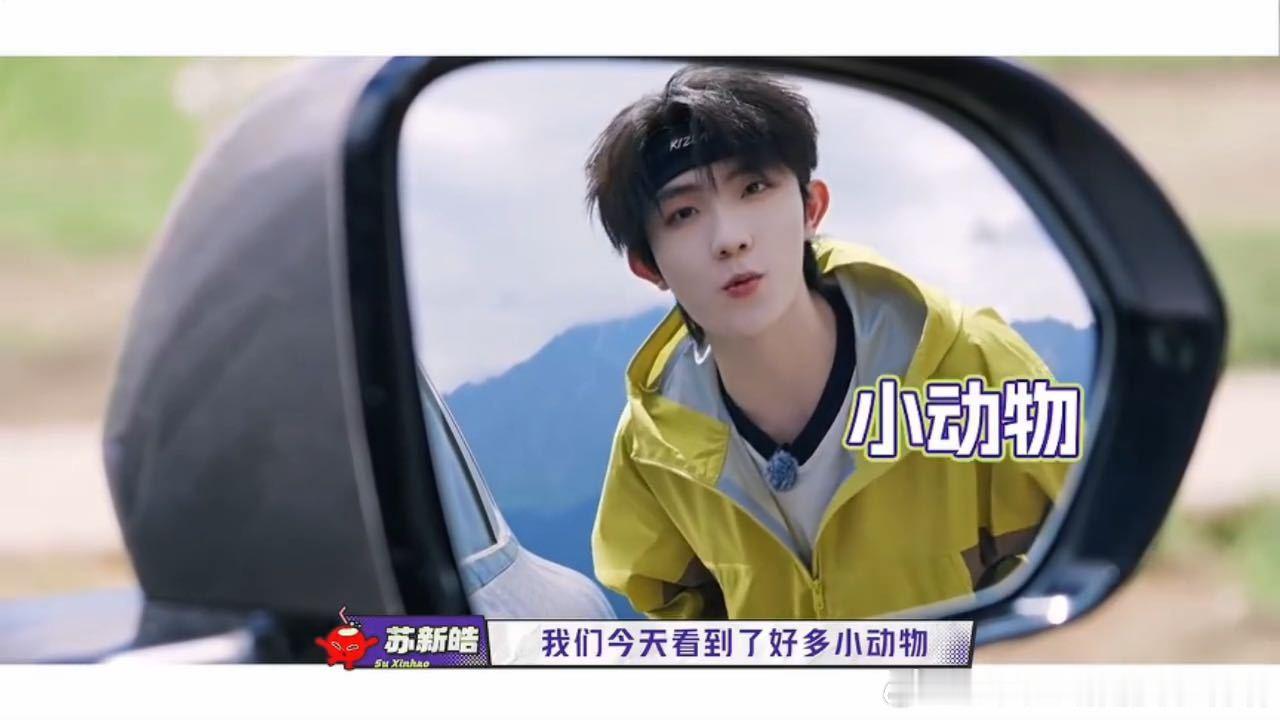 苏新皓后视镜视角后视镜视角捕捉到苏新皓乖巧打招呼的一幕，他聊起一路向海的旅途故事
