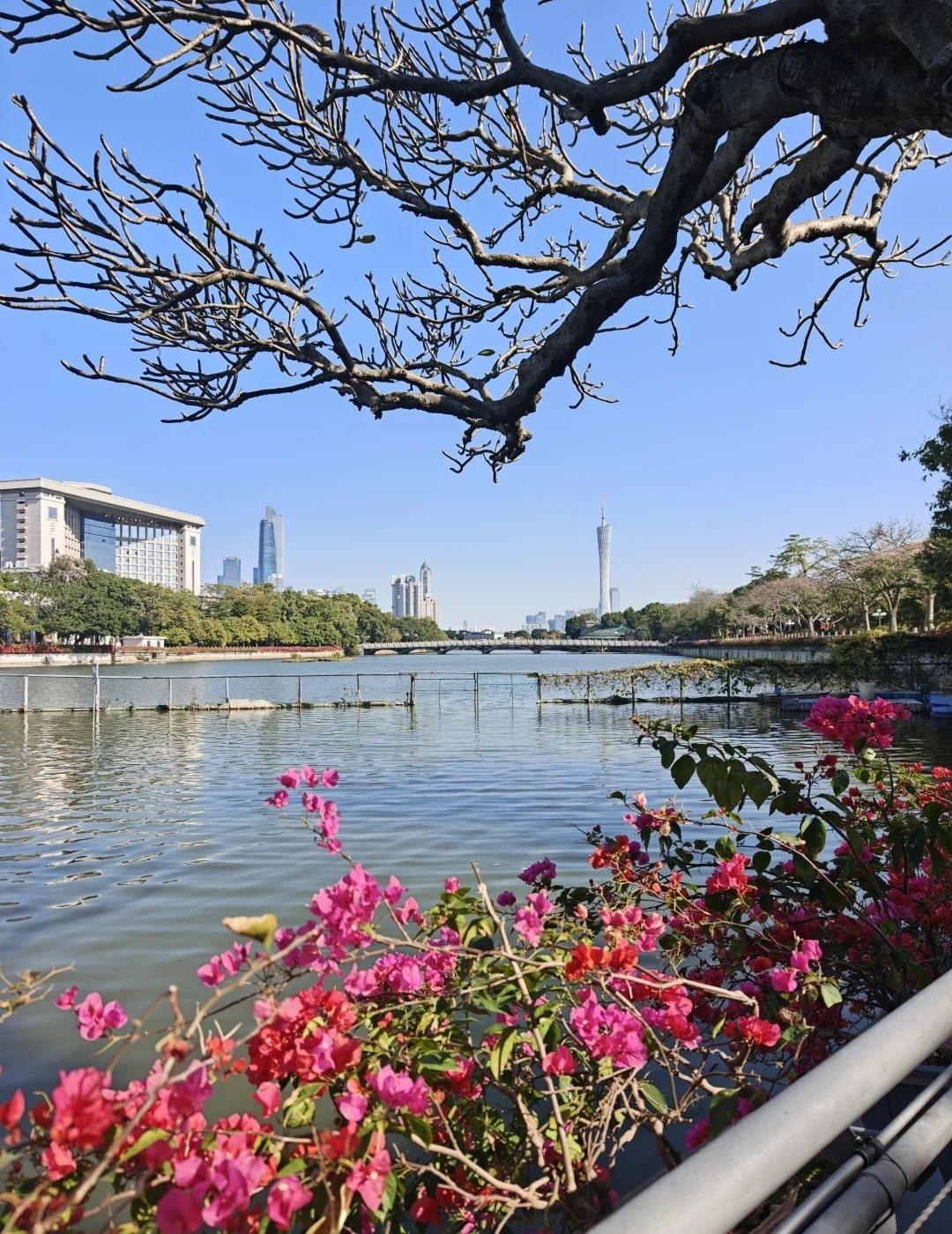 好久没来东山湖公园了
📍广州 东山湖公园
时隔几年再次来到东山湖公园，天气好的