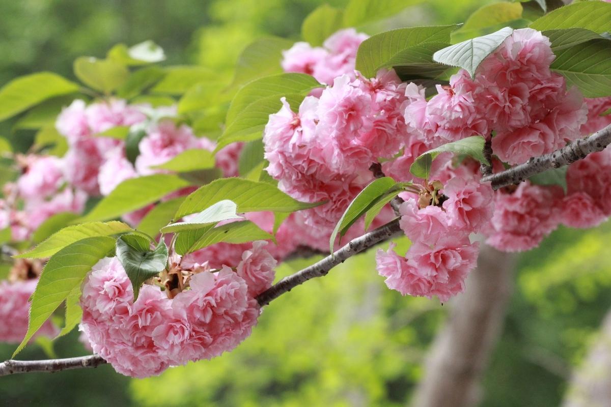 我们一直寻找的，却是自己原本早已拥有的，我们总是东张西望，唯独漏了自己想要的，这