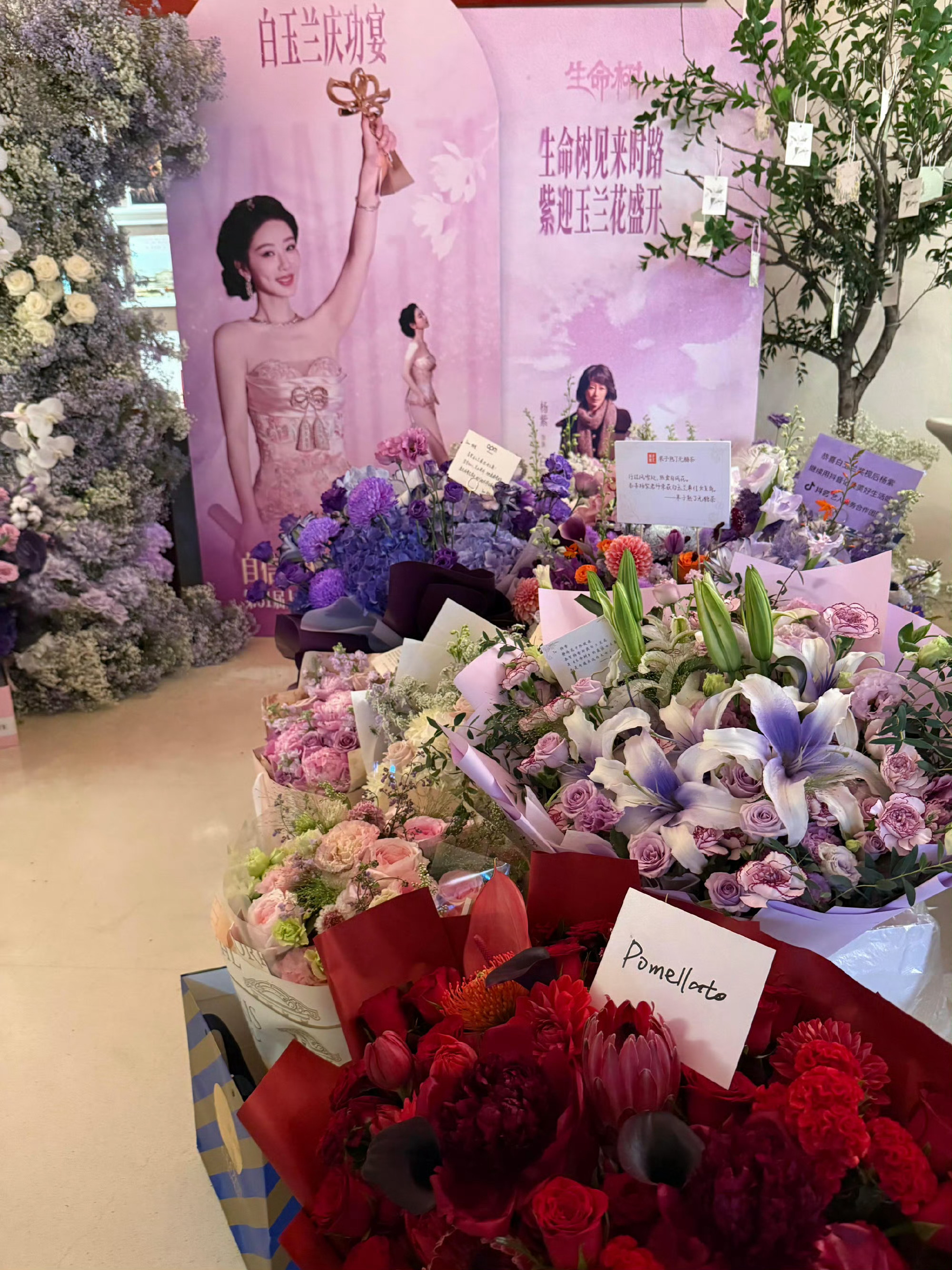 杨紫这个白玉兰庆功宴是白玉兰组委会弄的还是她自己弄的啊 杨紫白玉兰庆功宴