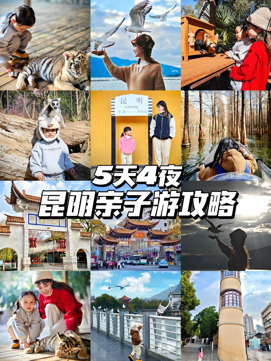 假期去哪儿｜昆明5天4夜亲子游保姆级攻略