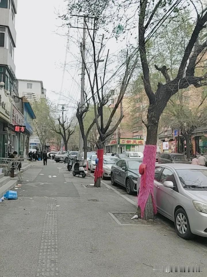 春日生活打卡季