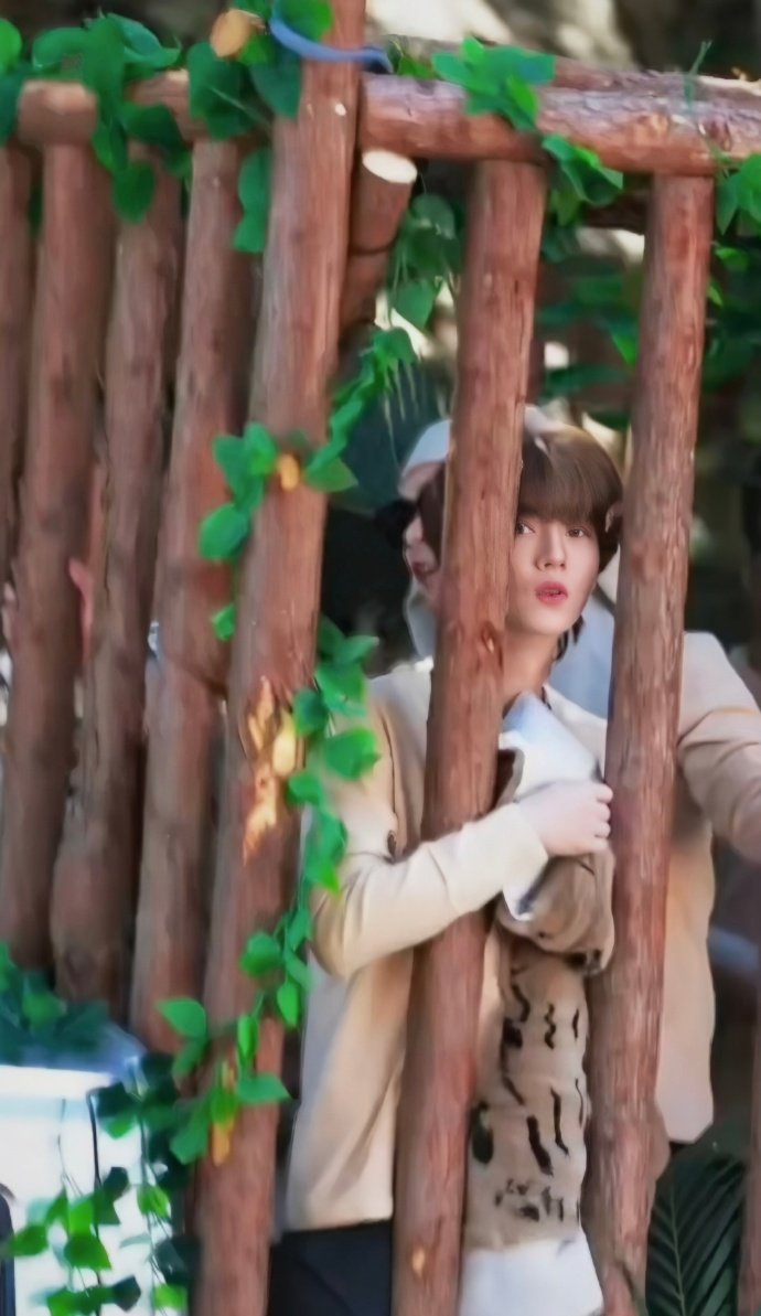 鹿晗五哈囚车游街路透 鹿晗五哈囚车游街路透，快把我鹿放出来啊~ 