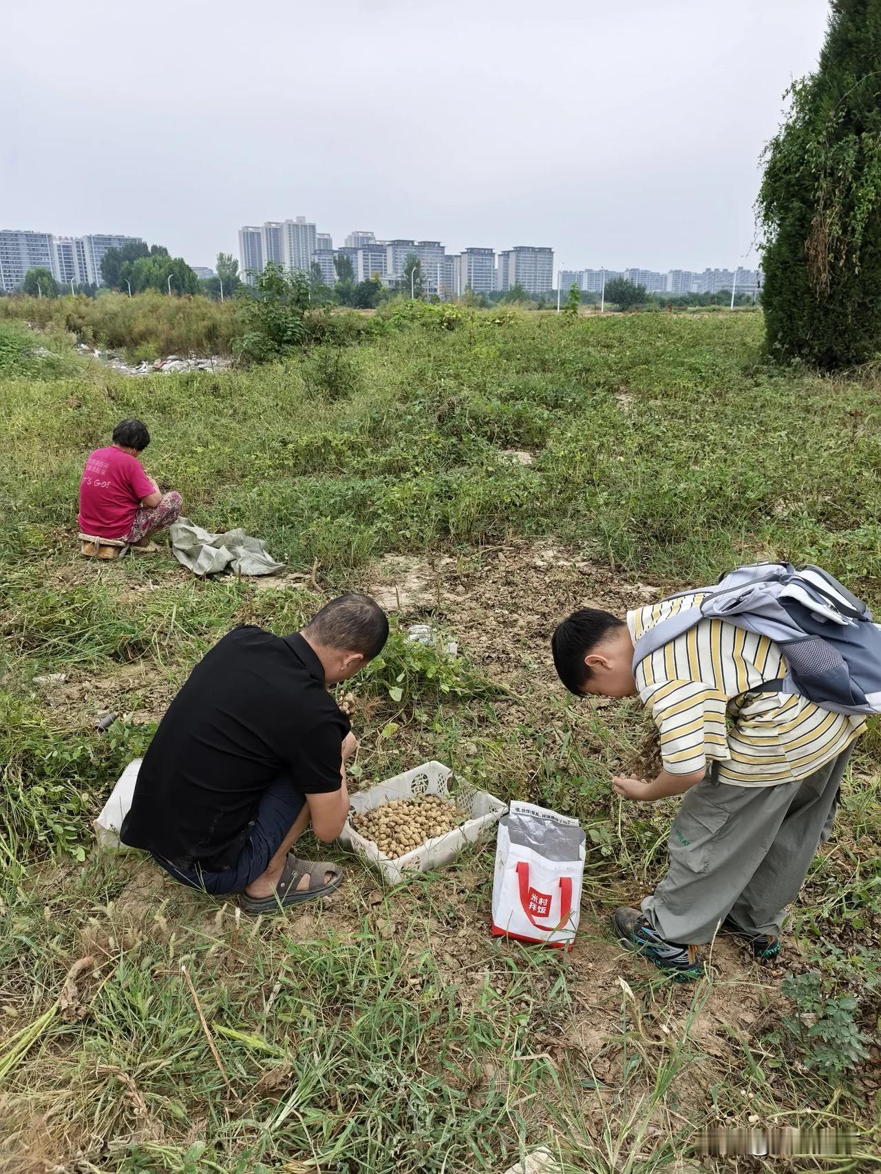 小宝在学校的惊喜和住在荒地里的惊喜。

“妈妈，妈妈，调位了，我不坐在最后一排了
