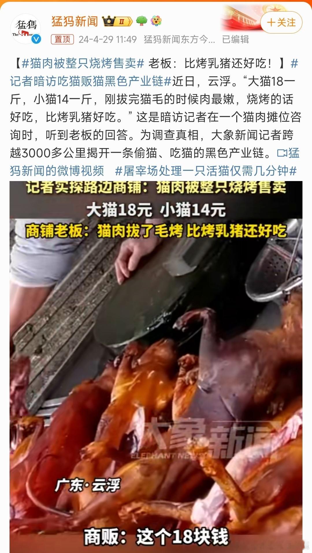 #猫肉被整只烧烤售卖#在膳食推荐结构中没有这个，想想都反胃呀[苦涩] ​​​