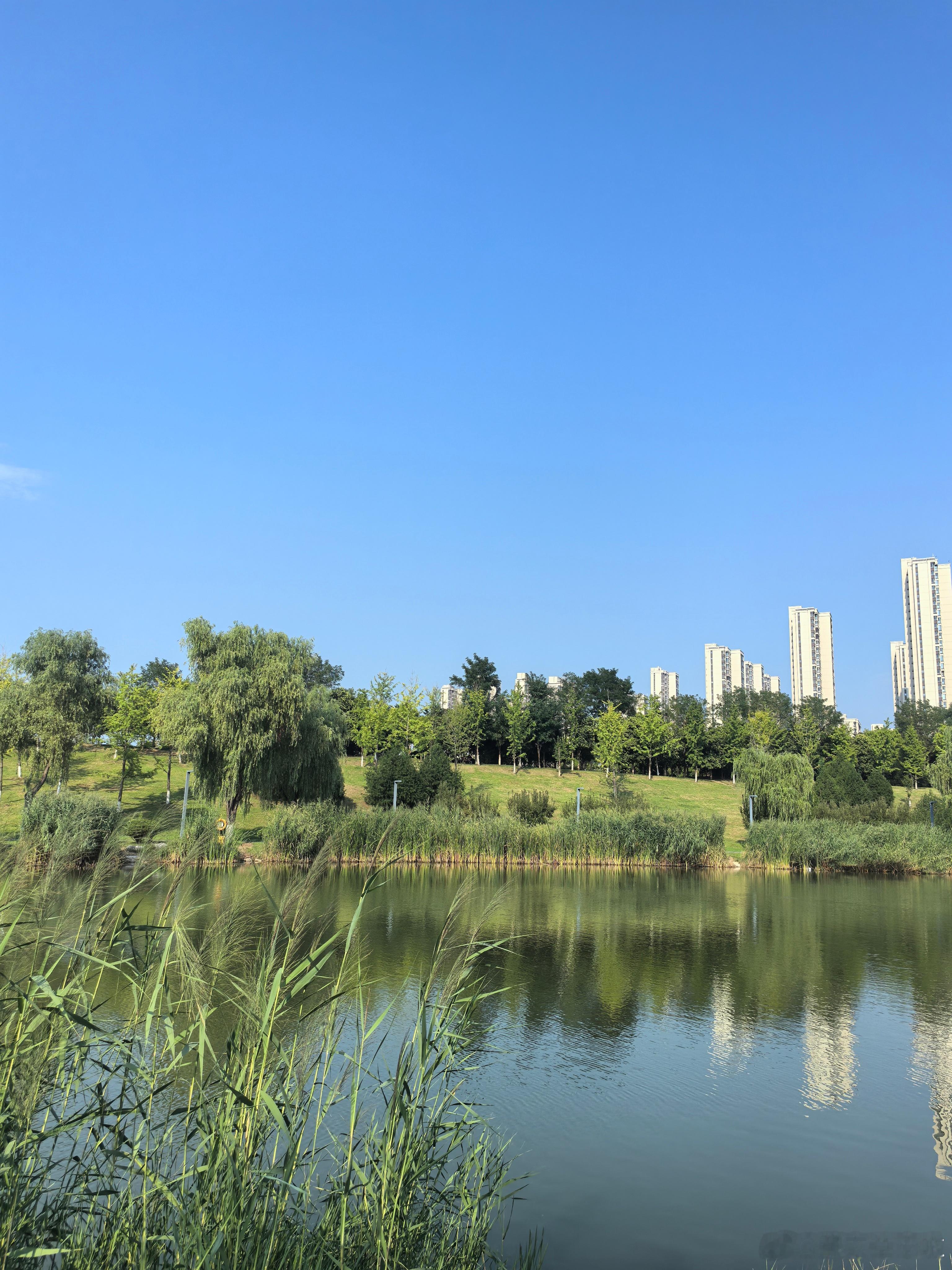 随手拍美景  荣儿的日常 一汪湖水，半岸青草，晴空万里。夏意缓缓落幕，秋风悄悄启