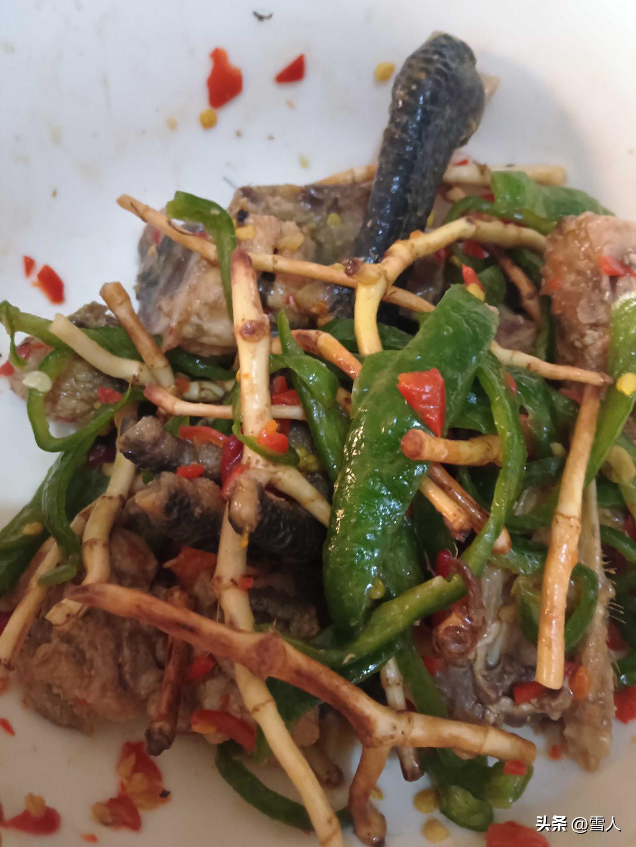 挖折耳根做凉拌鸡： 春日钓鱼，河堤上泥土松软，草色初青，不经意间便撞见一丛丛折耳