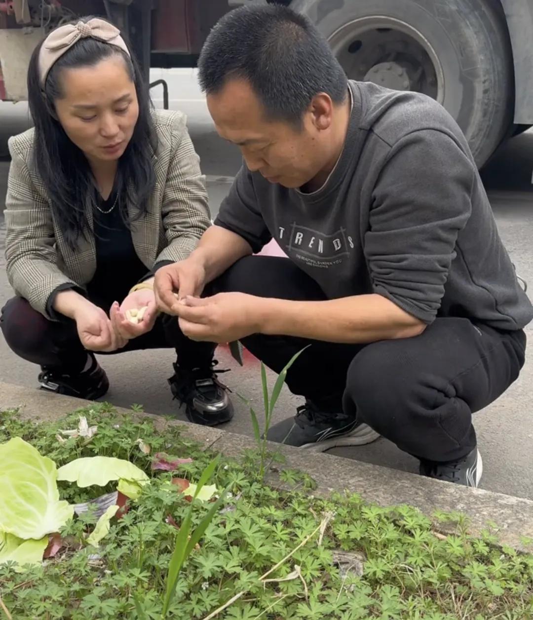 卡车司机聂建文在妻子去世一年多后找了一个对象，结果这个对象是个骗子。他发现这女人