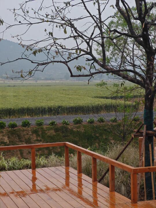 下着小雨的乡村