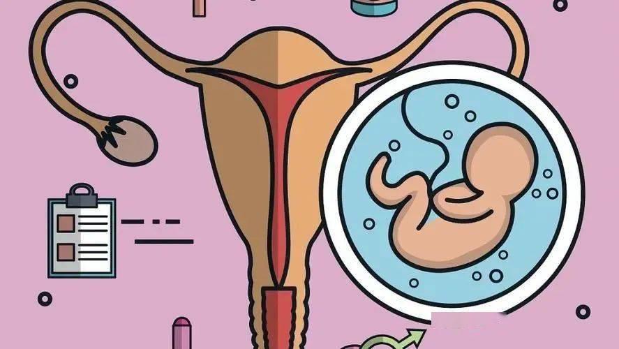 #健康真探社#【女性生育力断崖式下降的征兆有哪些？】卵巢是女性重要的生殖器官，其