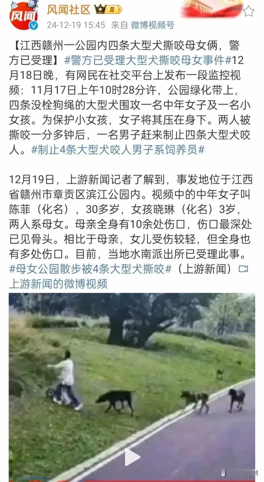 恶狗伤人视频如此清晰可见，如此明显的危害公共安全行为，为何我们本地的有关部门要一