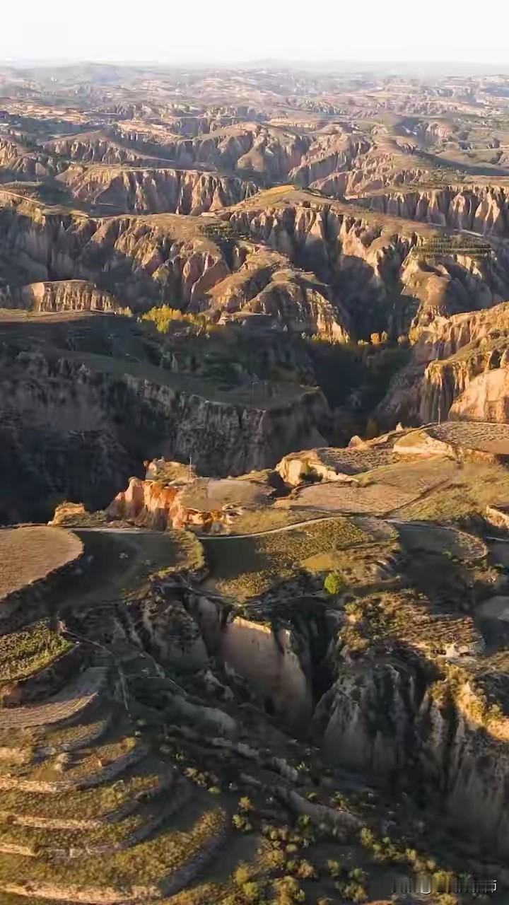 我家住在陕西黄土高坡，风吹黄土灰蒙蒙，山上站着受苦人，不怕风吹不怕晒，天天地里刨