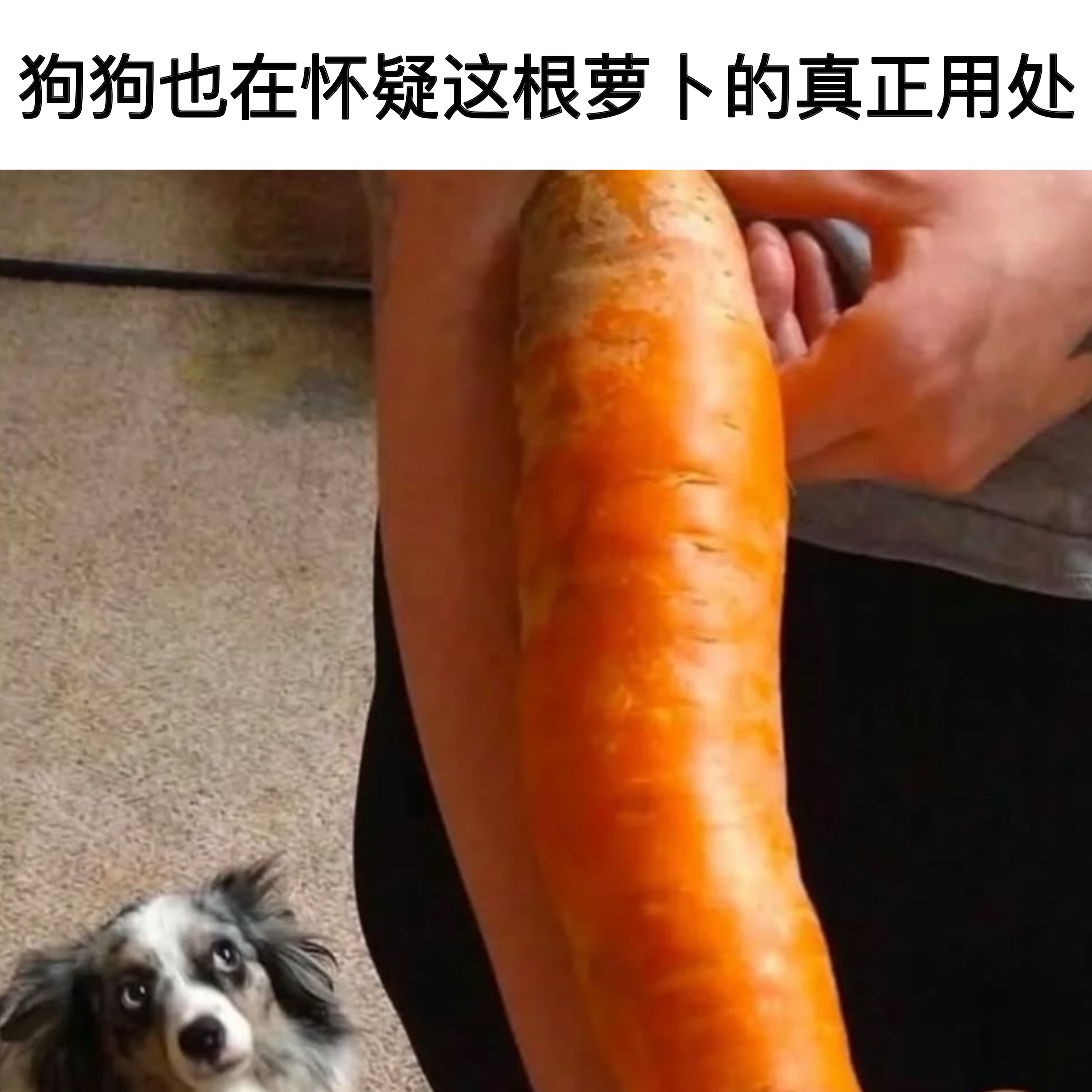 应该不是做菜吧 